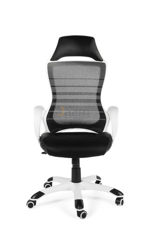Кресло Реноме CX0729H01 бело-чёрное